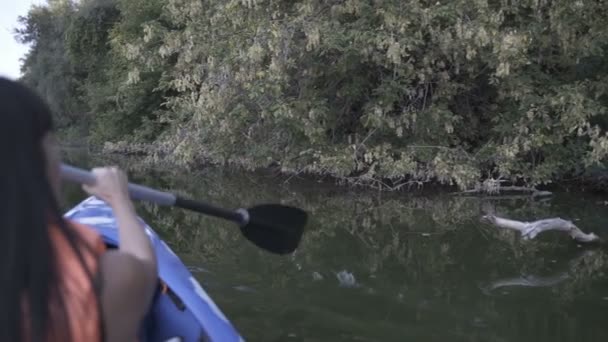 Una chica en un bote remando un remo. Movimiento lento — Vídeos de Stock