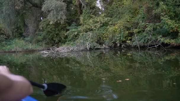 Meisje in een boot roeit een roeispaan. Langzame beweging — Stockvideo