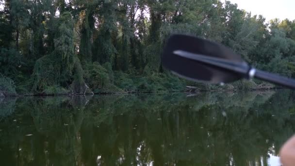 Vista da vegetação fluvial de um barco — Vídeo de Stock