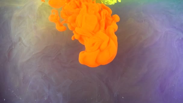 Acrylverf in water. Achtergrond — Stockvideo