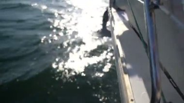 Suya batırılmış çapa