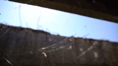 Terk edilmiş bir yapının üzerinde ağ. Yavaş çekim