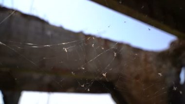 Terk edilmiş bir yapının üzerinde ağ. Yavaş çekim