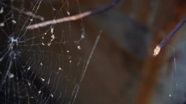Terk edilmiş bir yapının üzerinde ağ. Yavaş çekim