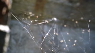 Terk edilmiş bir yapının üzerinde ağ. Yavaş çekim