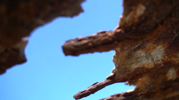 Vecchia struttura arrugginita sul mare. Rallentatore — Video Stock