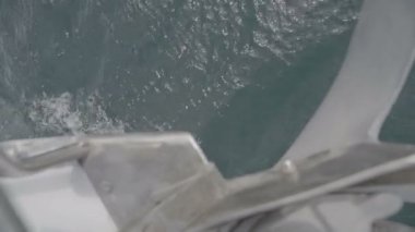 Yat burnu ve çapa. S-Günlük 3color