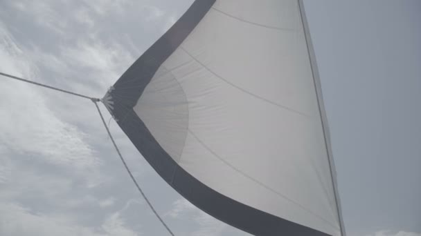 Vela bianca ondeggia su uno yacht. S-Log3 — Video Stock