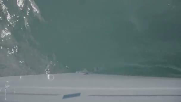 Le nez du yacht coupe les vagues. S-Log3 — Video