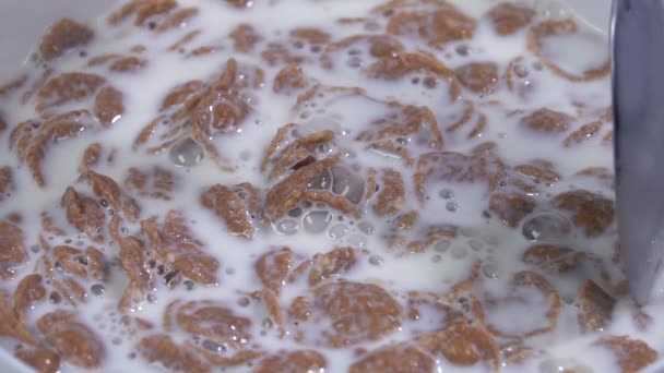 Cereal de desayuno con leche. Movimiento lento 250 fps — Vídeos de Stock