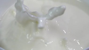 Çikolatalı şeker sütün içine düşer. Yavaş çekim 250 fps