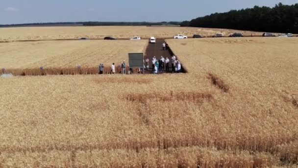 Agricultores em campo. Vídeo aéreo — Vídeo de Stock