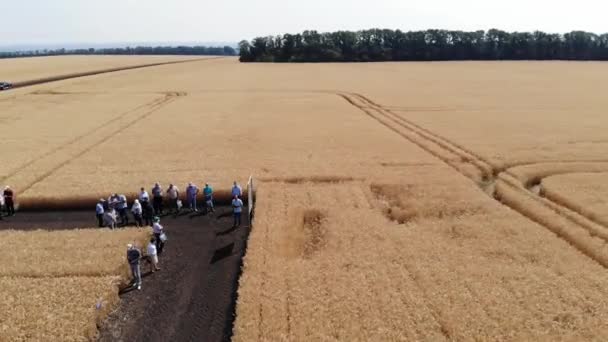 Bauern auf dem Feld. Luftbild — Stockvideo
