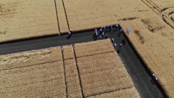 Agricultores en el campo. Vídeo aéreo — Vídeos de Stock