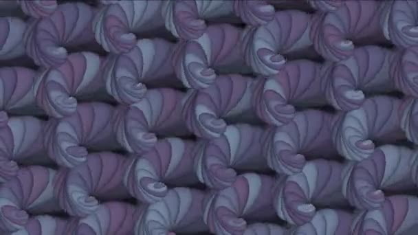 4k Abstract conch shell pattern background, biologia frattali sfondo geometrico . — Video Stock