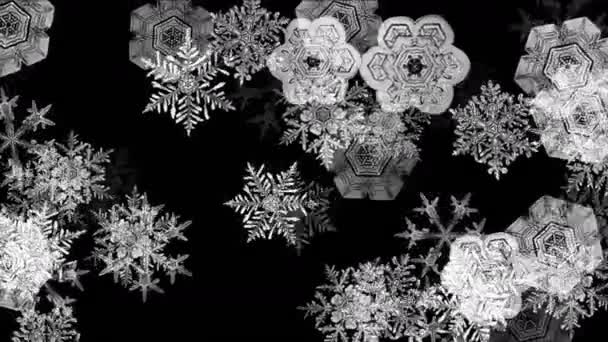 4 k Snowflake herfst, winter sneeuw achtergrond, romantische kerst deeltjes achtergrond. — Stockvideo