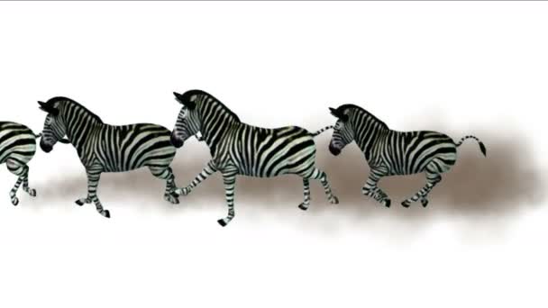 Gruppe Zebras Pferde Esel Tiere Silhouette Migration Laufen Rauch Afrika — Stockvideo