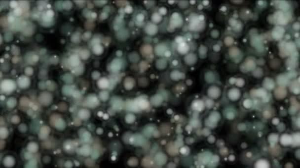 Artă Abstractă Particule Plutitoare Resturi Celulare Puncte Ouă Bacterii Microbi — Videoclip de stoc