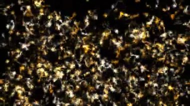 4k soyut sinek parçacıklar ışık kuyruk havai fişek, biyo mikrop bakteri sporları sperm, parçacık arka plan sanat, Mikro nano nöronlar iyonları teknoloji bilim.