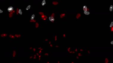 4 k taşlar elmas takı kristal değerli taşlar, zengin mineral zenginlik para.