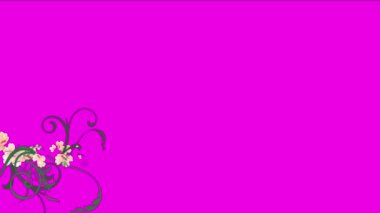 4k yemyeşil Çiçek yaprağı bırakır kelebek büyüyen bodur çalılar bitki çim bitkileri.