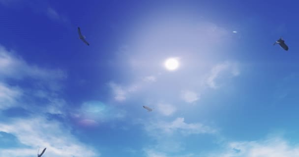 Seagulls Flying Sunlight Sun Rays Cloud Paradise Scene — Stock Video