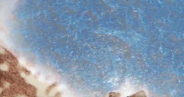Águias Aéreas Pairando Sobre Água Oceano Superfície Ilha Sol Reflete — Vídeo de Stock