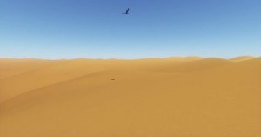 4 k Eagles, çöl ve kum tepeleri üzerinde uçan kuşlar gölge yansıtılan çölde.