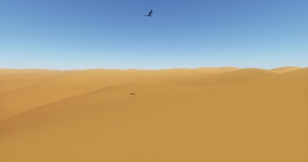 Eagles Hovering Desert Sand Dunes Birds Shadow Projected Desert — Stock Video