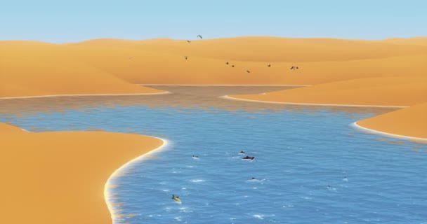 Shoal Fish Swimming Shine River Flowing Desert Birds Flying Meandering — Stock Video