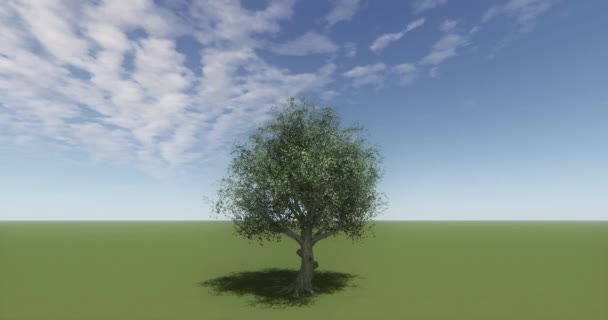 Árbol Solitario Balanceándose Viento Pradera — Vídeo de stock