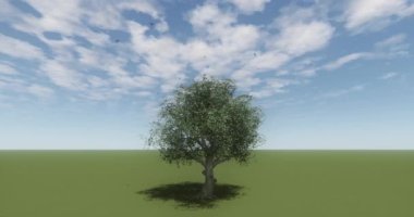 Prairie, rüzgarda sallanan yalnız bir ağaç üzerinde uçan 4 k kuşlar.