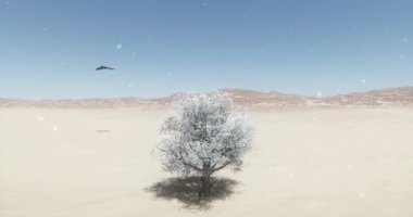 vahşi, kış kar altında sallanan yalnız bir ağaç üzerinde uçan 4 k kartal.