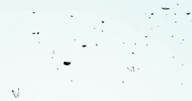 4k kelebek siluet uçan.