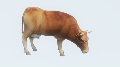 4 k sığır yemek çimen, 3d çizgi film, hayvan, hayvan siluet.