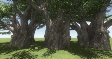 4 k kuş ve ağaç, rüzgarda, kırsal sahne karahindiba float altında uçan Kelebek.