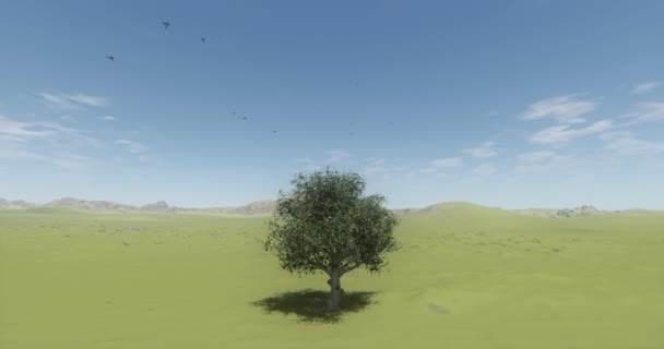 鸟儿飞过旷野 一棵孤独的树在风中摇曳 — 图库视频影像