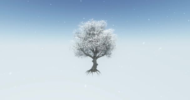 Albero Solitario Radice Ondeggiante Nella Neve Deserto Inverno — Video Stock