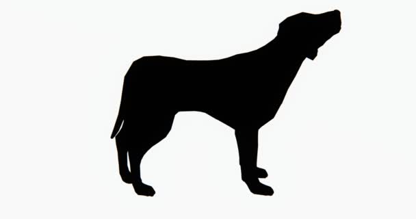 Cão Desenho Animado Adorável Animal Estimação Silhueta Animal — Vídeo de Stock