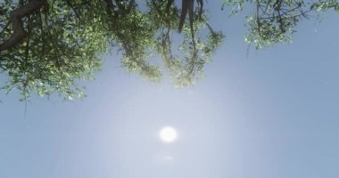 4 k kelebek ve kuş, ağaç, rüzgarın Dmuchawce tayin üzerinde uçan kartal.