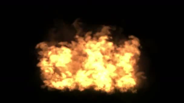 Fuoco Particelle Fuochi Artificio Fiamma Calda Sfondo — Video Stock