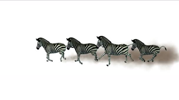 Group Zebras Horses Donkeys Animals Silhouette Migration Running Smoke Africa — Stock Video