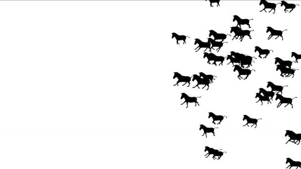 Skupina Koně Osli Zebry Zvířata Silueta Migrace Spuštěna Afrika Porosty — Stock video