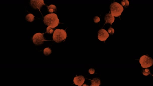 Résumé Cellules Virus Microscope Fond Herpès Bactéries Bulles Spores Oeufs — Video