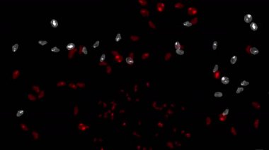 4 k taşlar elmas takı kristal değerli taşlar, zengin mineral zenginlik para.