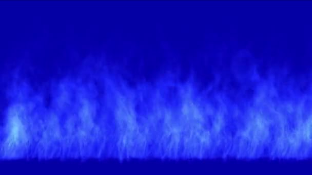 Fuego Azul Llama Quema Gas Luz Telón Fondo Calor Energía — Vídeo de stock