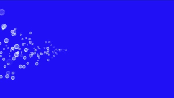 Абстрактный Фейерверк Воды Свет Точек Фона Пузырьков Частиц Микроорганизмов Бактерий — стоковое видео