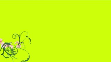 4k yemyeşil Çiçek yaprağı bırakır kelebek büyüyen bodur çalılar bitki çim bitkileri.