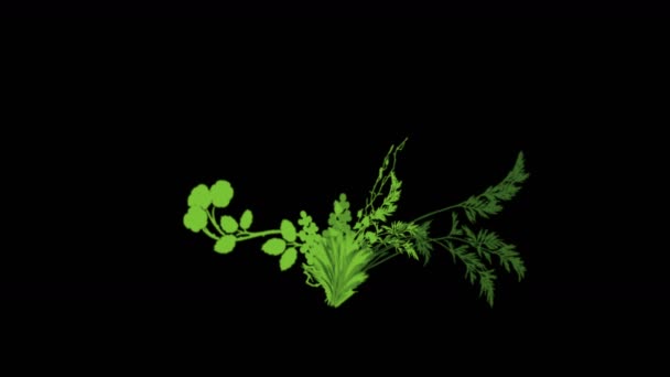 4k lussureggiante fiore foglie colture arbusti cespugli pianta erba che cresce . — Video Stock