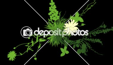 4 k yemyeşil çiçek bitkileri büyüyen otlar çalılar çalılar bitki yaprakları.